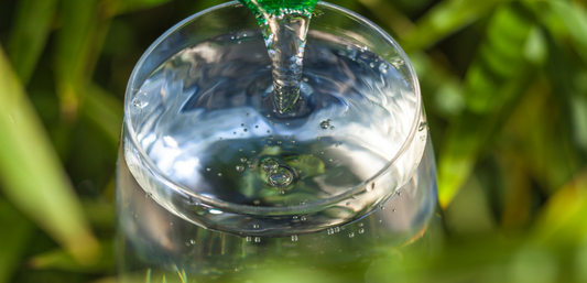 Mineralen, voeding en waterfilters